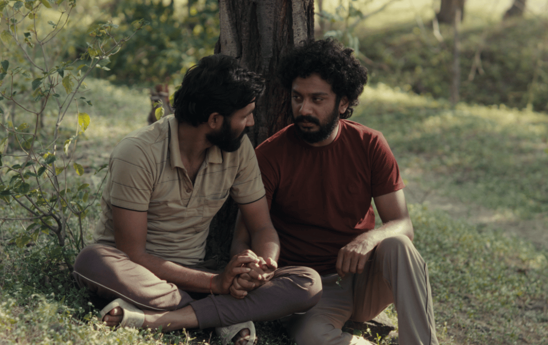Do Swindon - Sofa Screenings 'Cactus Pears' Thursday 2nd July