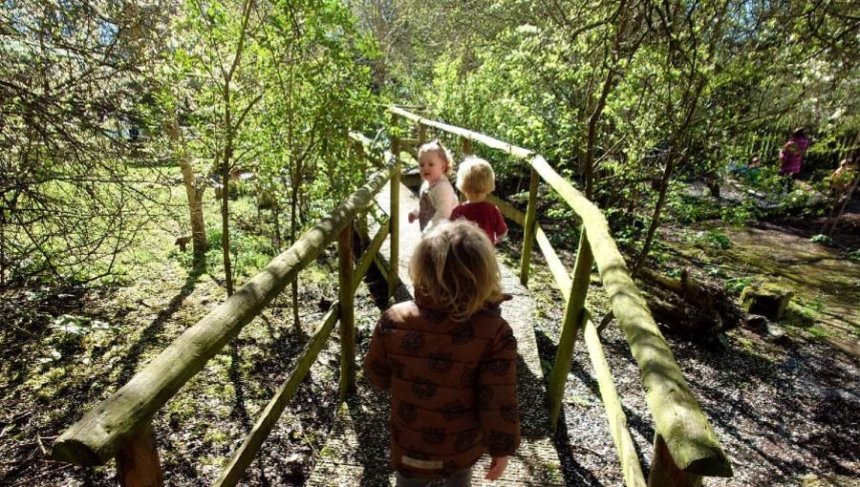 Do Swindon - Nature Tots