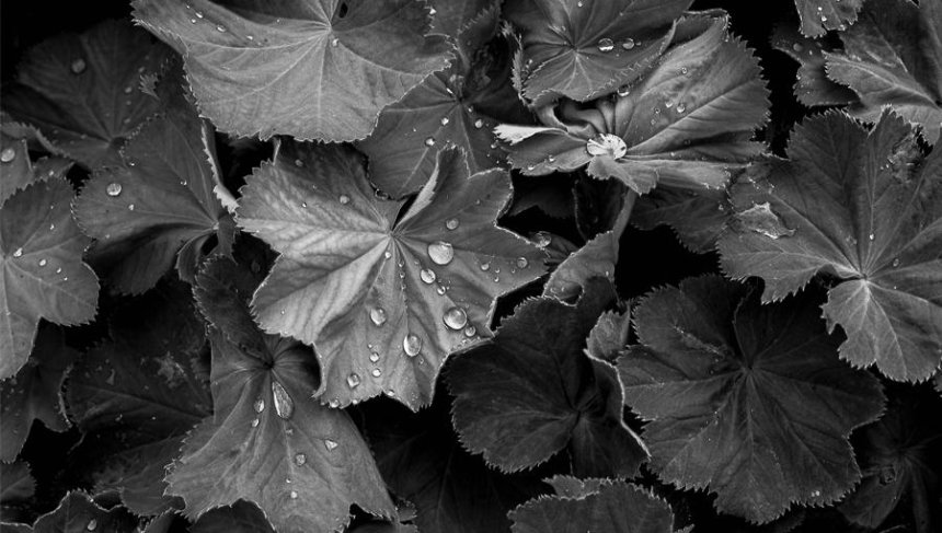 Do Swindon - Silentium – a photographic exhibition by Gideon Liddiard