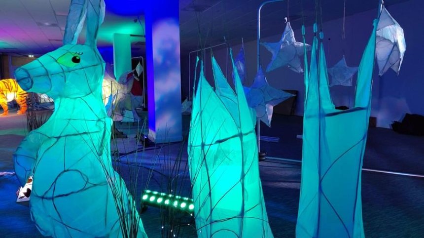 Do Swindon - Swindon Winter Fest - Magical Lantern Forest