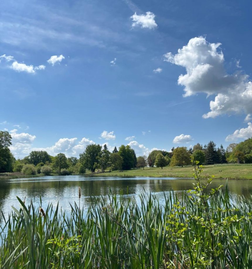 Lydiard lake