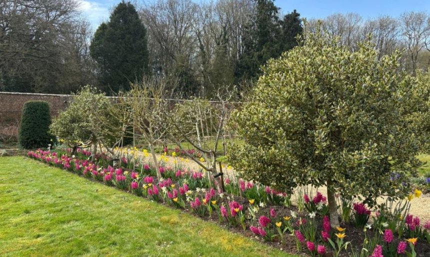 Spring bulbs at Lydiard
