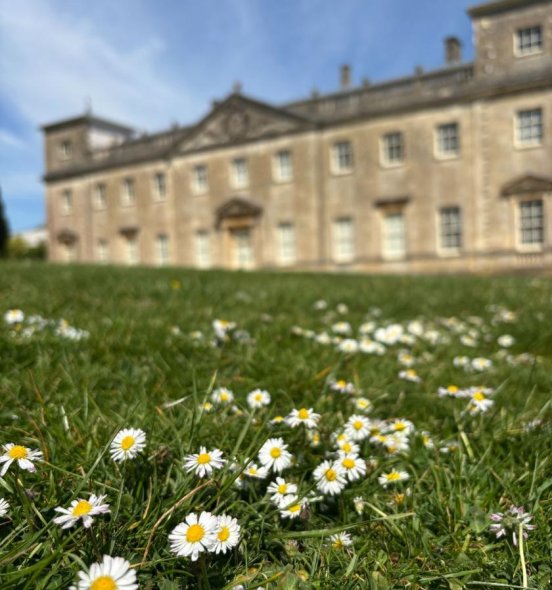 Lydiard House in spring time